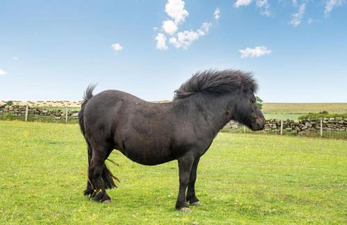 Street House Farm Cottage - Foto 21