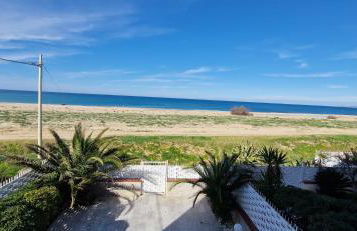 Arancina Abbronzata - Foto 17