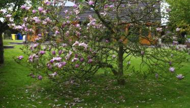 Ferienwohnungen Kastenmüller - Foto 2