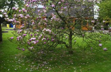 Ferienwohnungen Kastenmüller - Foto 2