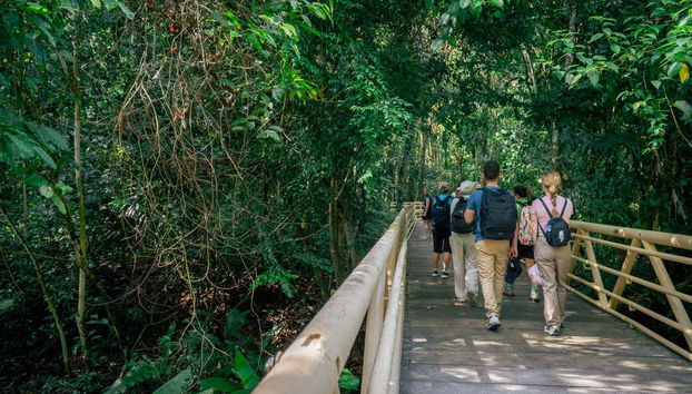 Manuel Antonio National Park Tour - Foto 4