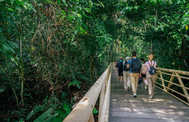 Excursión al Parque Nacional Manuel Antonio - Foto 8