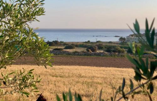 Marikos House, Pyrgaki Alyko Naxos - Foto 30
