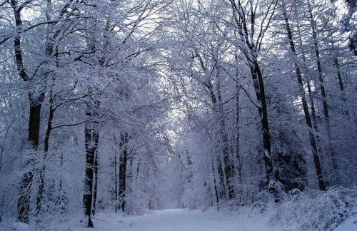 Ferienwohnung Am Walde - Photo 59