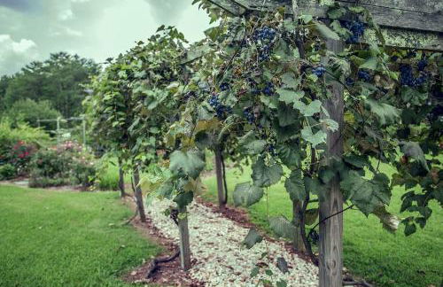 Luxury Cabin for Two with Beautiful River Views near Knoxville - Foto 12