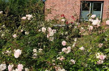 Ankerplatz Langballig - Foto 15