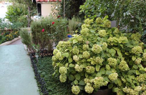 Apartments Miriam Srima - Foto 39