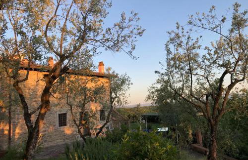 Agriturismo Podere Campiglia - Foto 26