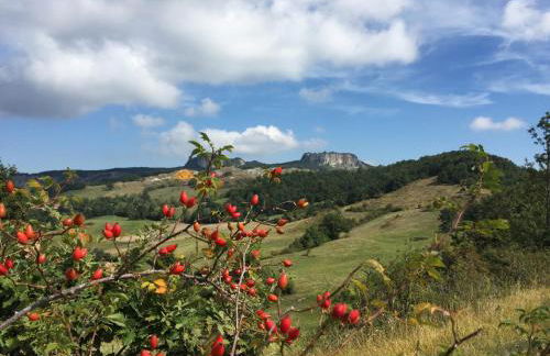 Casa Kuraj - Foto 28