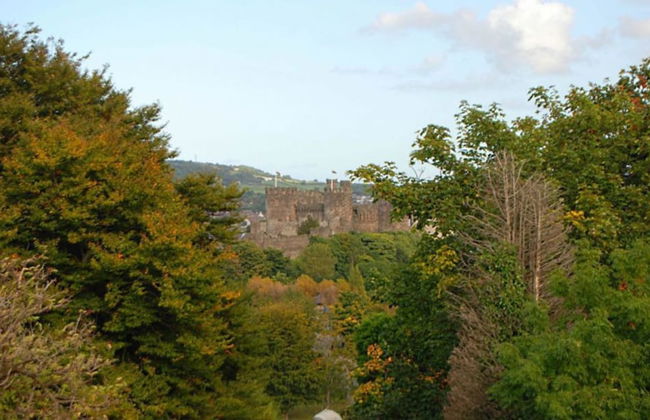 Bron y Graig - Photo 18