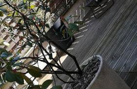 les Pénates appartement terrasse - Foto 13