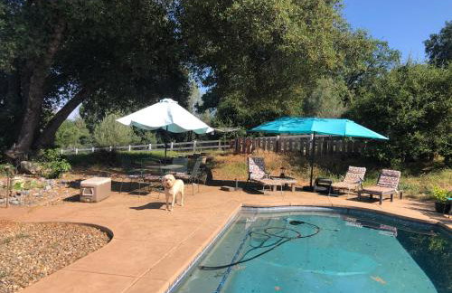 Amazing Loft on Horse Ranch - Foto 45