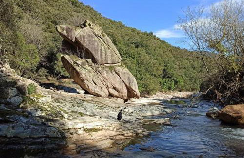 Ca la Pauleta - Foto 59