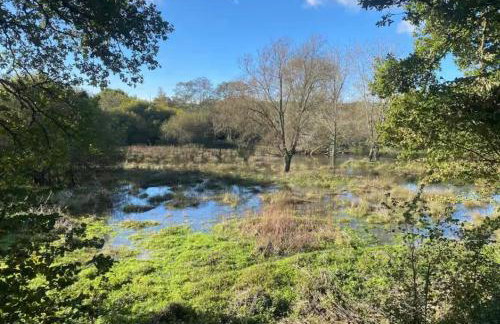 Spout House Studio - Photo 35