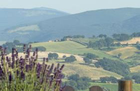 La casa dei nonni - Foto 17