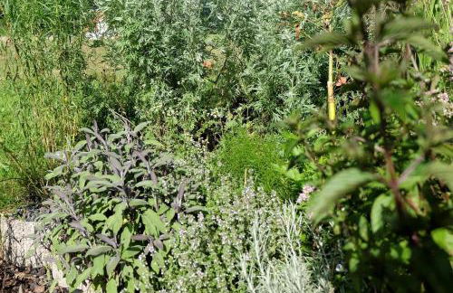 SchwarzWild - Ferienwohnung und Ferienzimmer - Foto 17