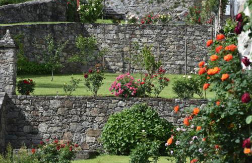 La Rosa al Roseto del Drago - Foto 1