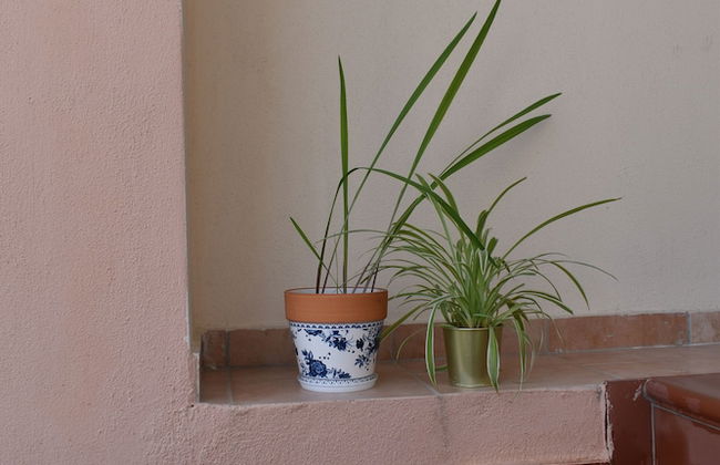 Kripis House - Photo 66