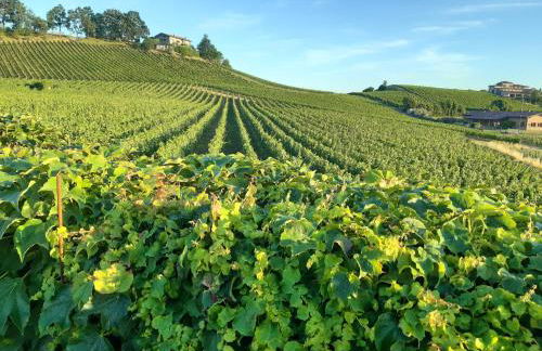 Appartamento Franciacorta - Foto 65