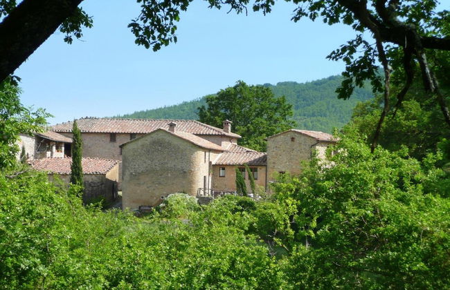 Agriturismo Colli di Travale - Foto 51