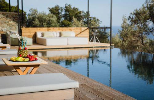 Five Olive Dream Trip - Photo 31