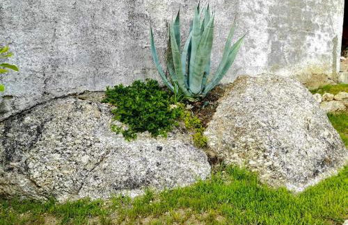 O Refúgio - Foto 52