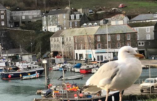 Mevagissey Boutique Flatlet with sea and countryside views - Foto 25