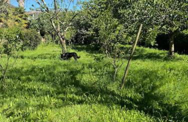 Dreams of Alaric - Photo 43