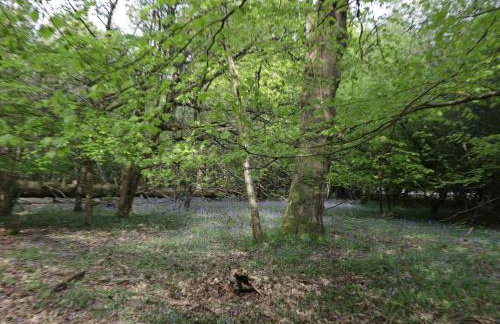 The Old School - Photo 28