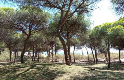 Apartamento en Islantilla Golf - Foto 15