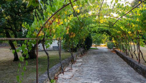 Apartments with parking space Sveti Lovrec, Central Istria - Sredisnja Istra - 24888 - Foto 5