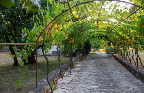 Apartments with parking space Sveti Lovrec, Central Istria - Sredisnja Istra - 24888 - Foto 5