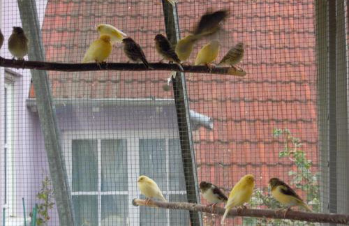 Ferienwohnung Wilpert - Foto 20