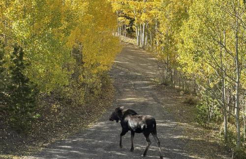 Valley View Vistas lodge - Foto 35