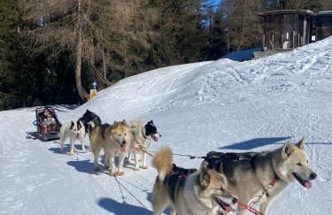 PLAGNE BELLECOTE - 5 Pers - Vue Pistes - Acces Piscine chauffee - Foto 12