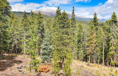 Serene Mountain Cabin Nestled Amongst the Pines - Alpenhaus - Foto 39
