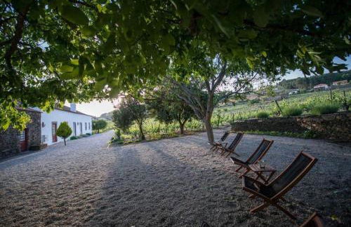 Morgadio da Calcada Douro Wine&Tourism - Photo 7