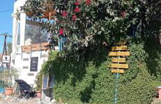 Lentas Royal - Foto 1