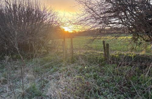 Little Vine Cottage in the grounds of Leeds Castle - Foto 14