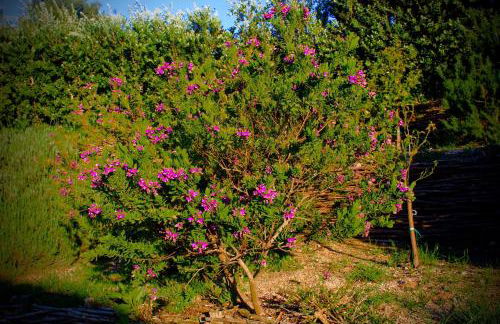 Villa Cattleya - Foto 24