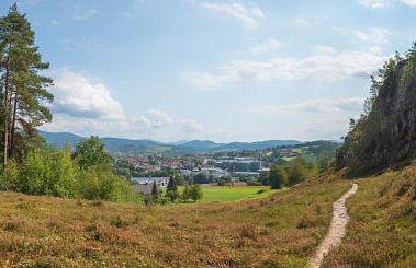 Ferienhaus Nr 20, Typ B, Feriendorf Jägerpark, Bayerischer Wald - Foto 21