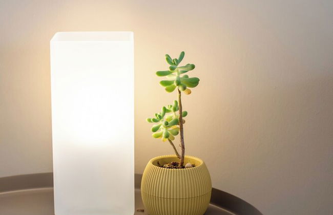 Infinity Wellness Apartment Hotel - Photo 52