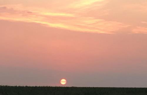 Heimathafen - Photo 17