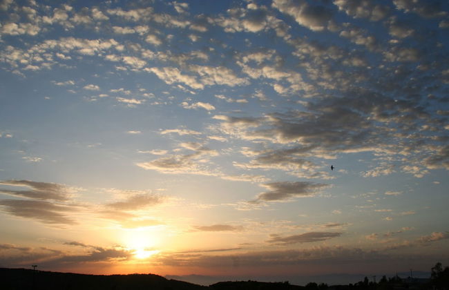 Ataviros Hotel - Foto 41