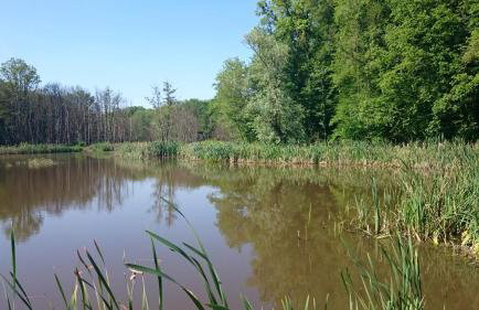 Pension Kezele - Foto 18