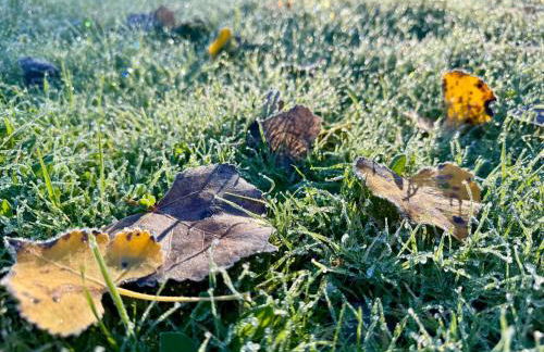 Your Spacious Escape: Creek, Pool, Sauna, Hot Tub - Foto 54