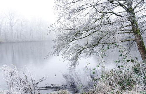 Kehrein am Stadtwald 60qm Wohnung mit Garten, Balkon und Parkplatz - Foto 31
