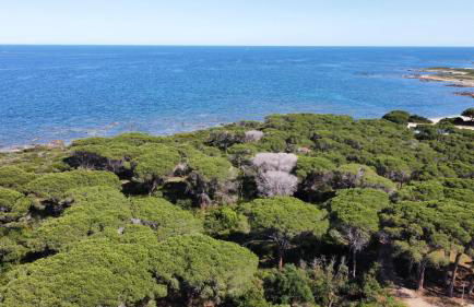 Le Pavoncelle - Foto 32