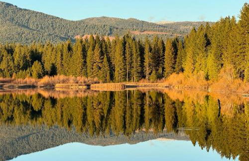 Lassen National Park Luxury Cabin with Hot Tub - Foto 41