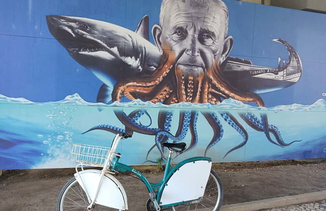 Aveiro Bike Tour - Photo 10